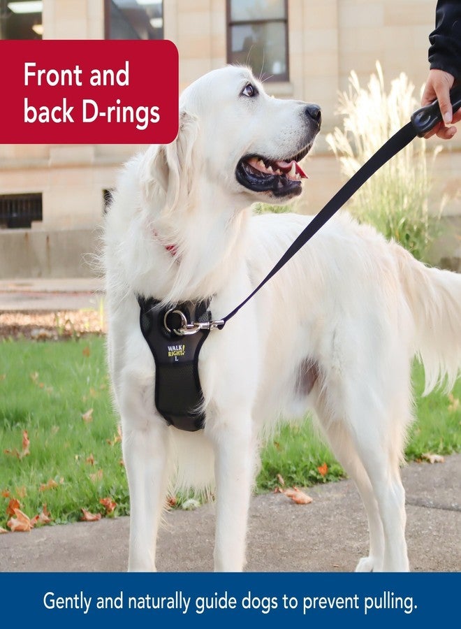 Coastal Pet Walk Right Front-Connect No-Pull Padded Dog Harness - Adjustable & Comfortable Dog Harness - Small & Large Breed Fit - Quality Pet Supplies - Black, LRG (26"-38") - Image 5